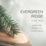 AOVILA Evergreen Ridge scent note chart with pine needle, clean lavender, forest air, green balsam, cedarwood, and soft resin
