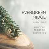 AOVILA Evergreen Ridge scent note chart with pine needle, clean lavender, forest air, green balsam, cedarwood, and soft resin