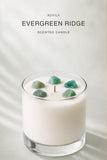 AOVILA Evergreen Ridge candle styled for a calm forest-inspired home fragrance mood with balsam and cedar notes